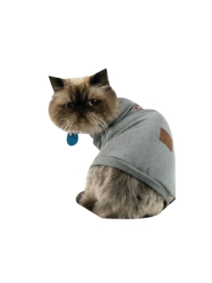POLERA